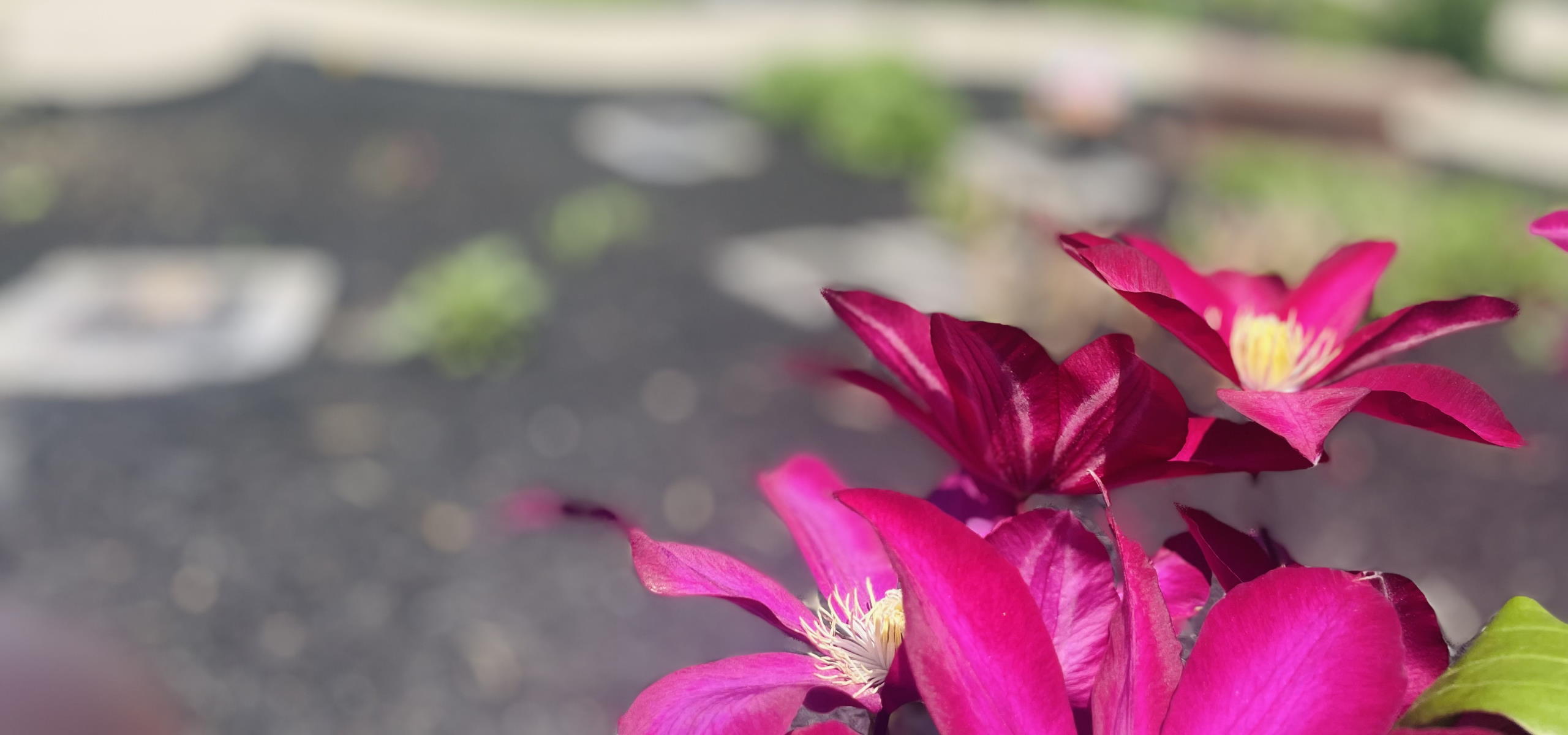 Pet Haven Highview Memorial